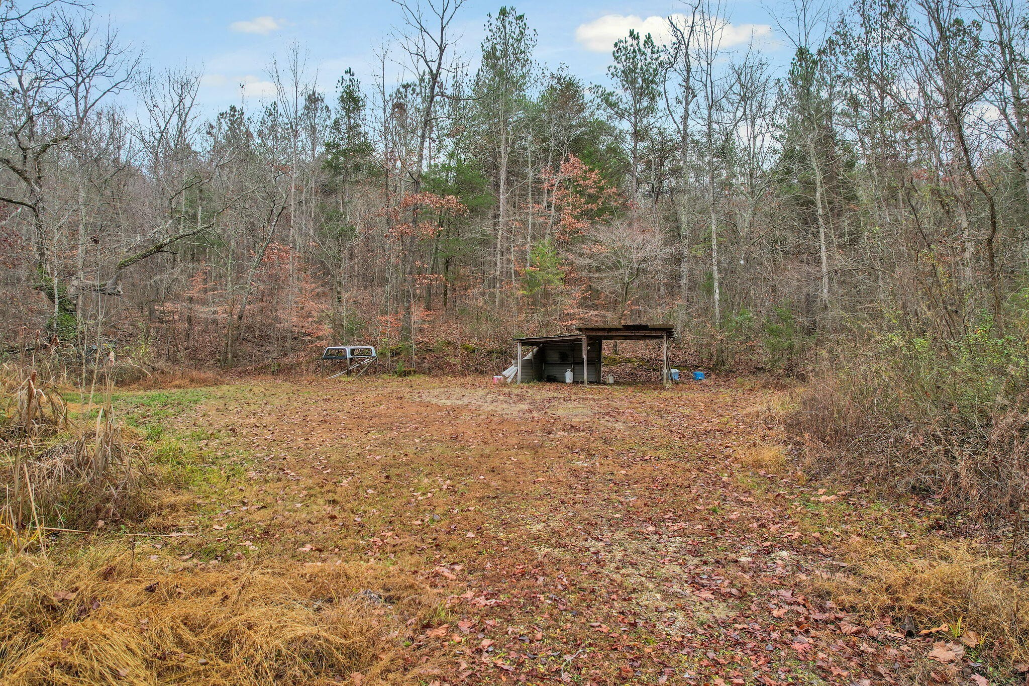 1895 North Hunter Bend Road Decatur, TN 37322 - Photo 21 of 33 a view of a outdoor space with a bench