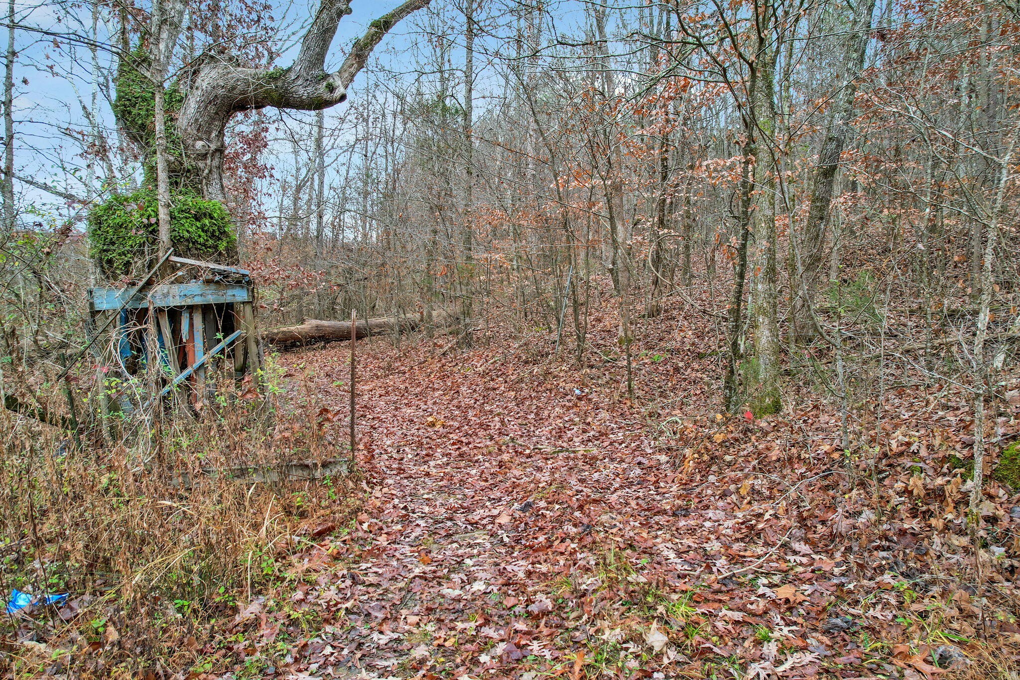 1895 North Hunter Bend Road Decatur, TN 37322 - Photo 22 of 33 a backyard of a house with lots of green space