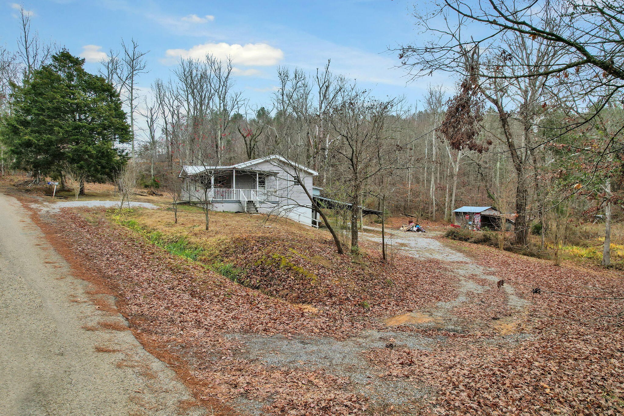1895 North Hunter Bend Road Decatur, TN 37322 - Photo 23 of 33 a view of a yard with a tree