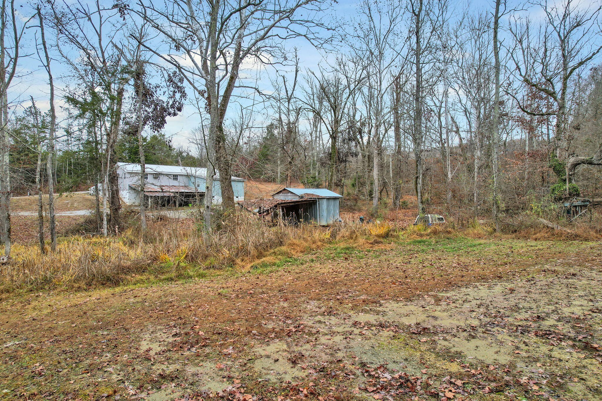 1895 North Hunter Bend Road Decatur, TN 37322 - Photo 27 of 33 a backyard of a house with lots of green space
