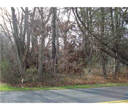 51 Friendship Road, Unit 11 01 Cranbury, NJ 08512 - Photo 4 of 4 View. View down street heading towards Route 130.