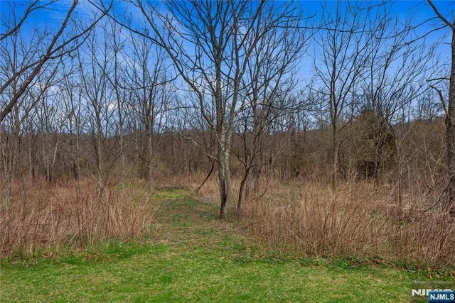a view of backyard with green space