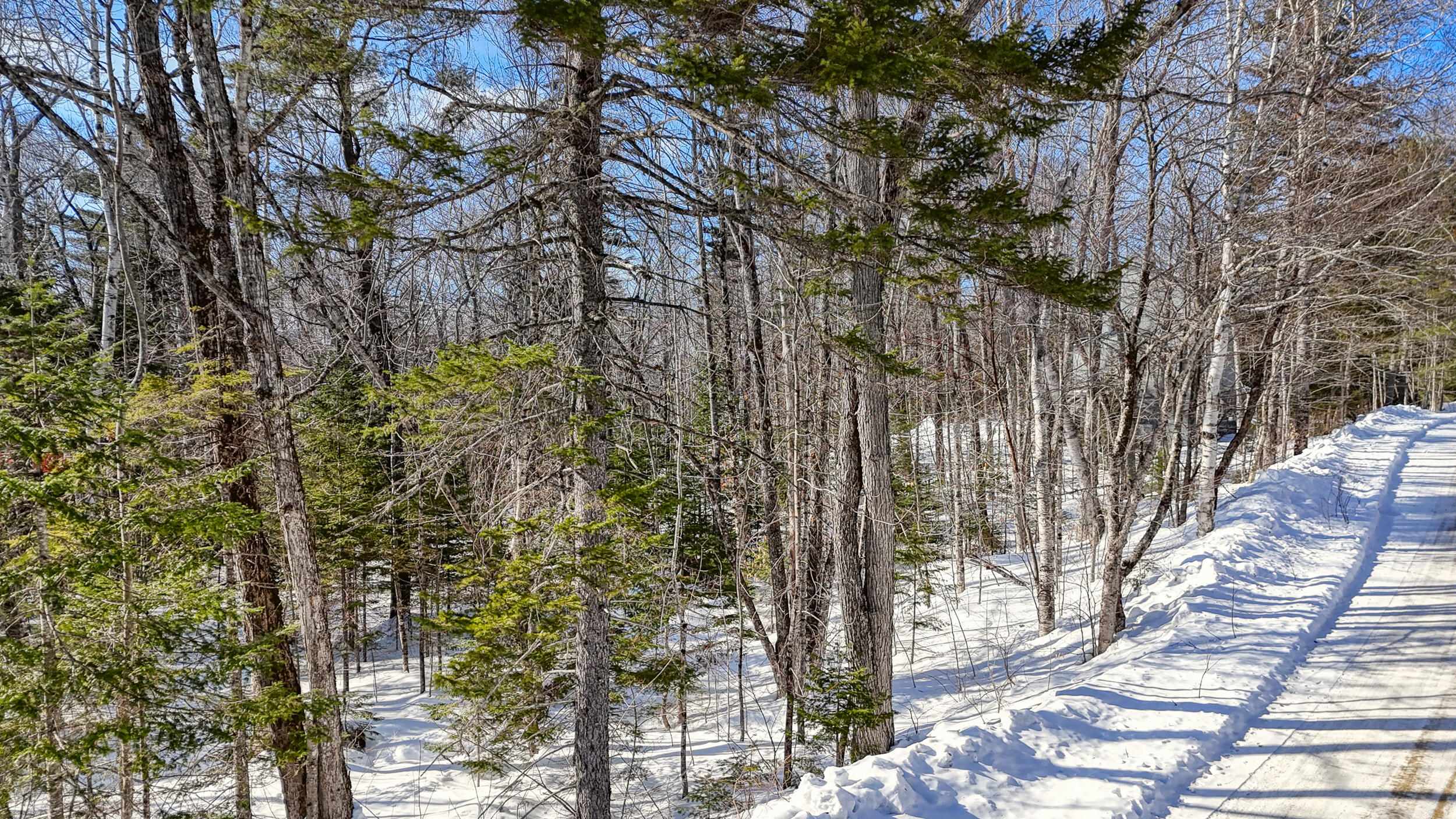 2032 Fox Hollow Road Carrabassett Valley, ME 04947 - Photo 7 of 14 110380ae-103