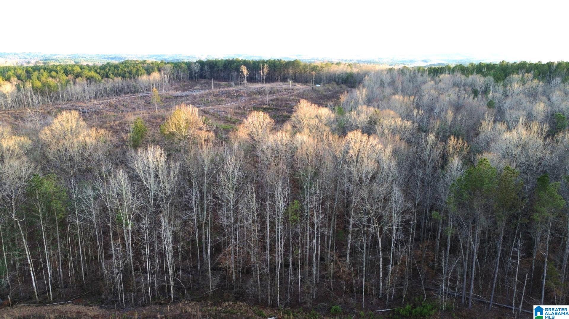 Walker Road, Unit 103 5 Lineville, AL 36266 - Photo 18 of 26