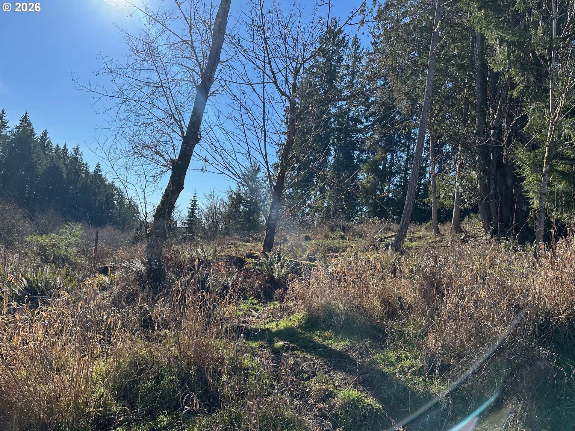 165 East G Street Vernonia, OR 97064 - Photo 3 of 9