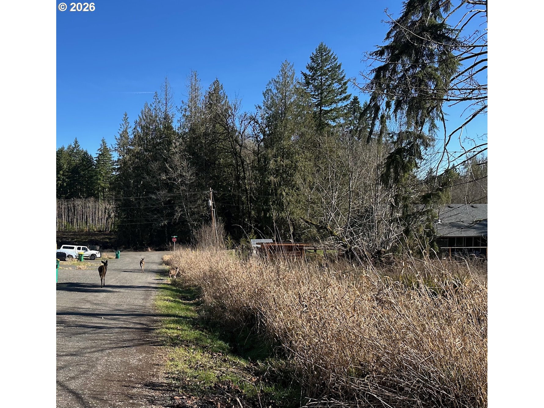 165 East G Street Vernonia, OR 97064 - Photo 9 of 9