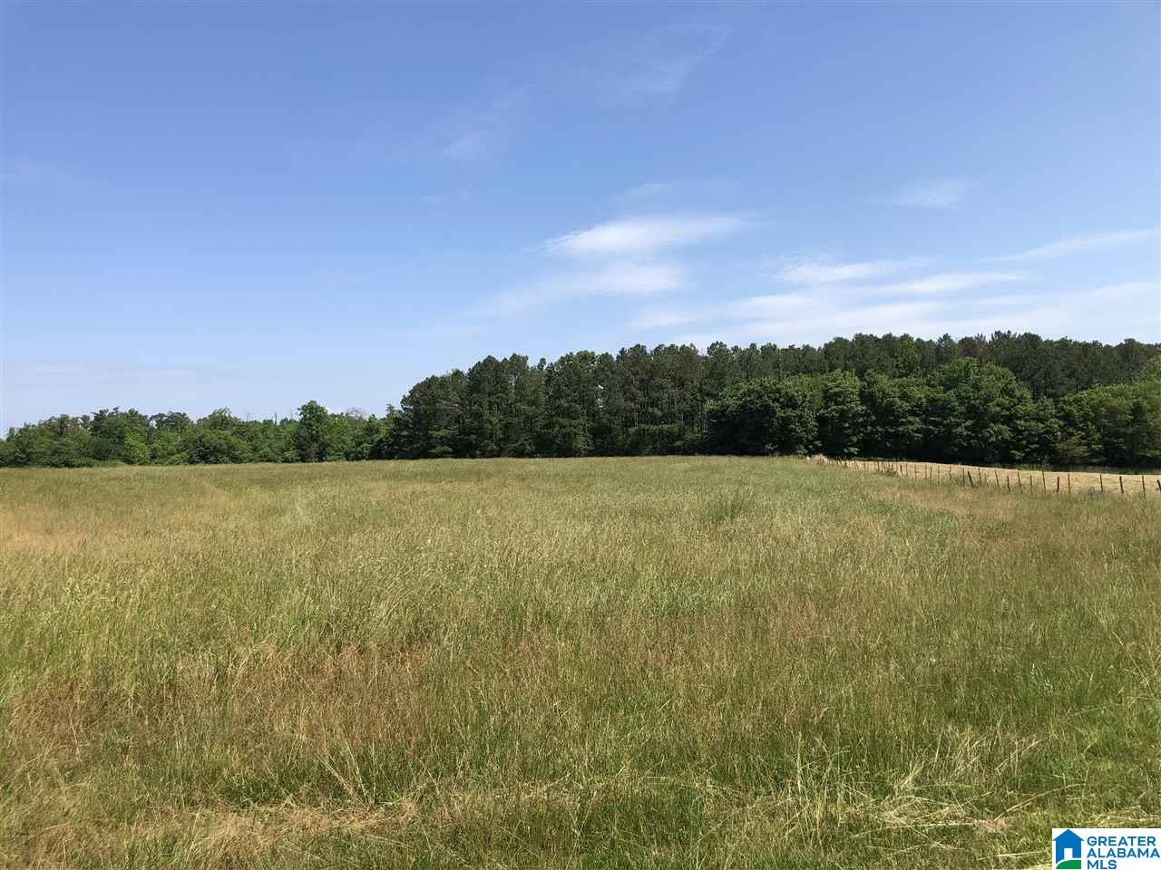 0 County Road 642 Henagar, AL 35978 - Photo 6 of 9