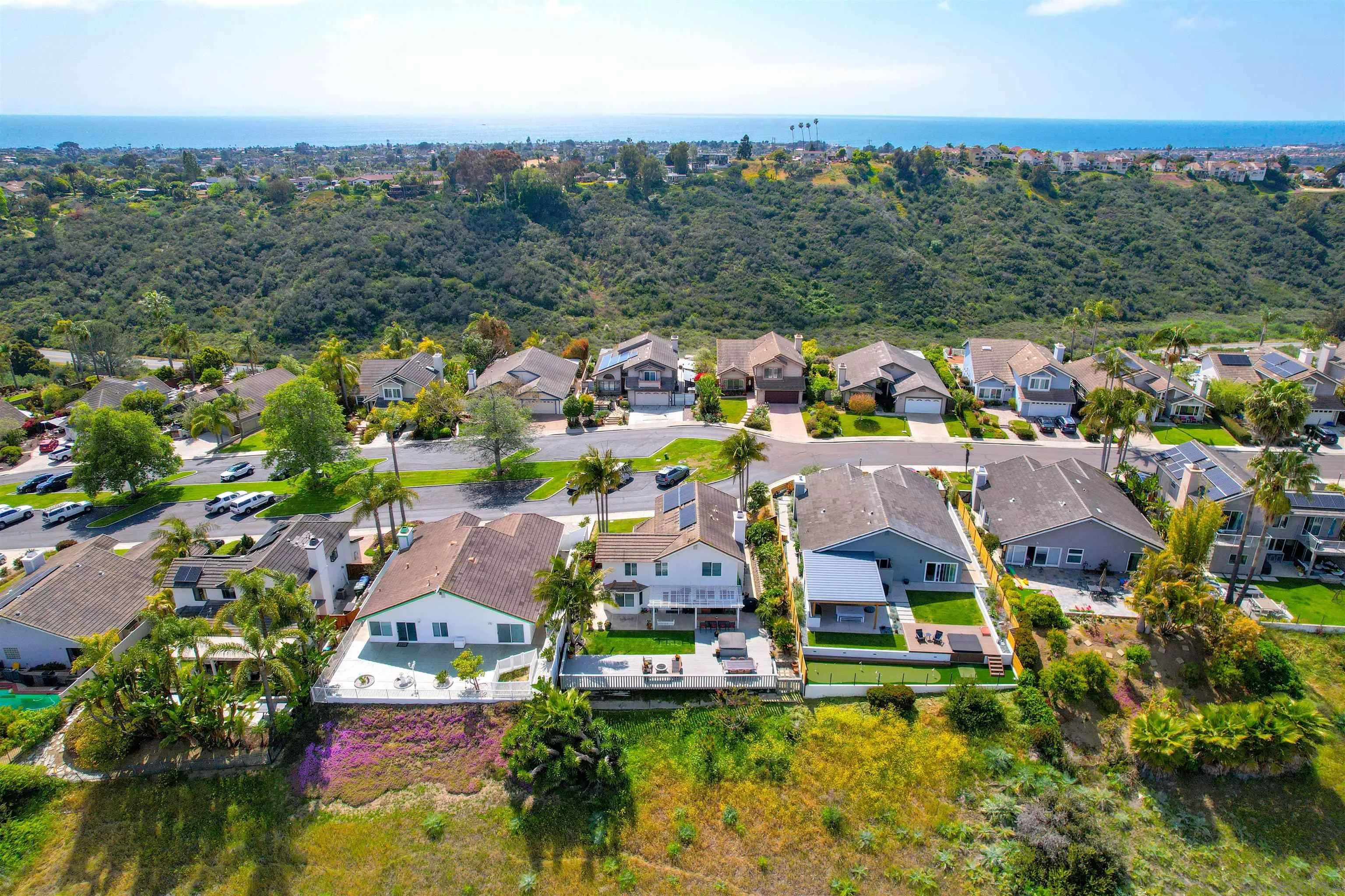 1647 Hawk View Drive Encinitas, CA 92024 - Photo 66 of 73