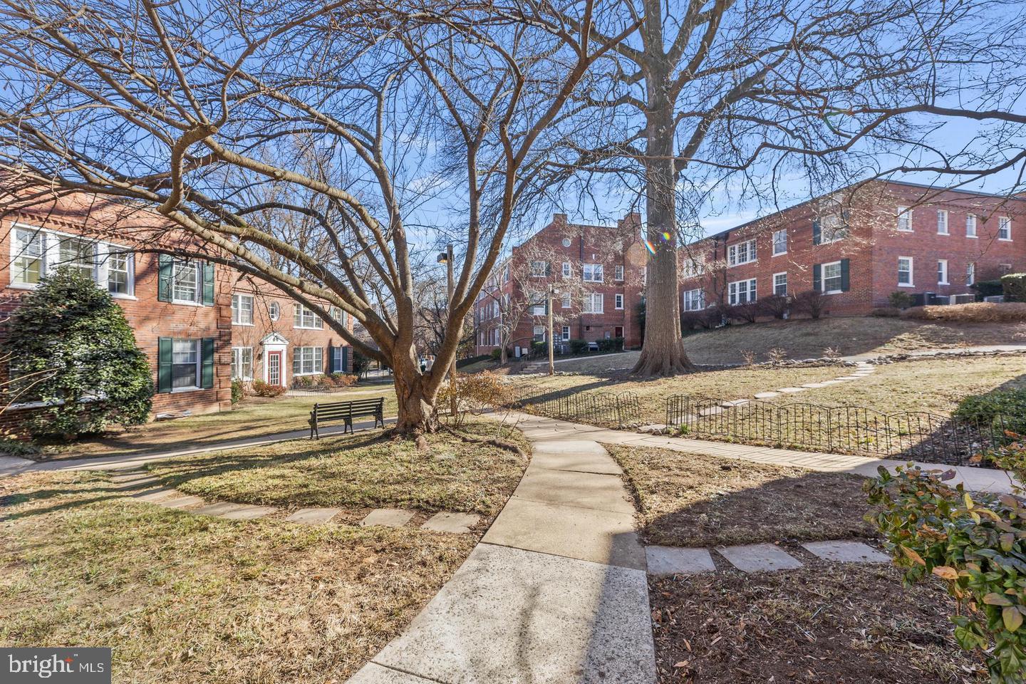1902 North Rhodes Street, Unit 66 Arlington, VA 22201 - Photo 22 of 28 a street view with large trees