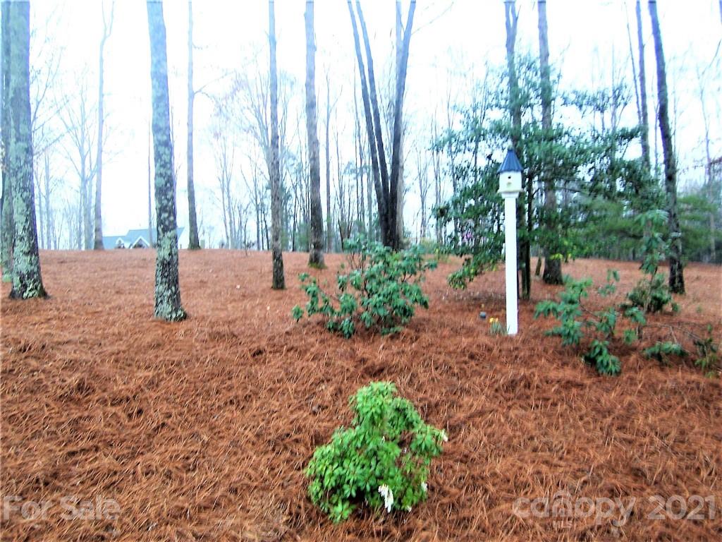 2133 Jack Wilson Road Shelby, NC 28150 - Photo 4 of 48 Gallery Image 4