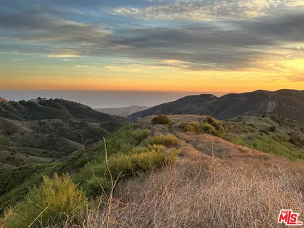 a view of a lush green hillside and a houses