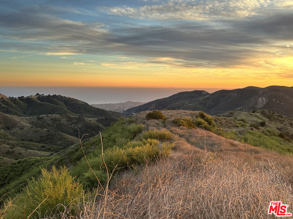 a view of a lush green hillside and a houses