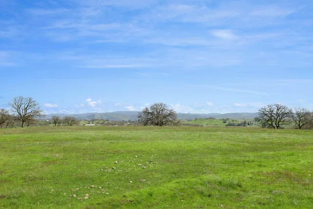 a view of a field with an ocean
