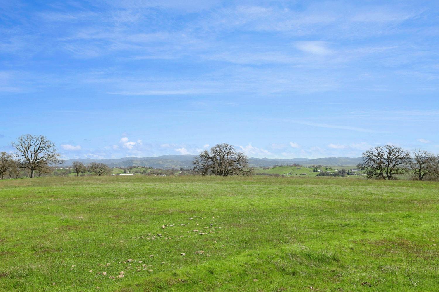 11750 North Wimer Road Linden, CA 95236 - Photo 11 of 69 a view of a field with an ocean and trees in the background