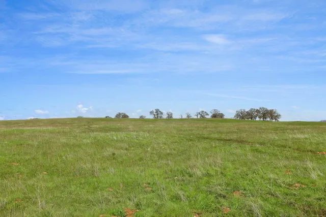 a view of an outdoor space and a yard