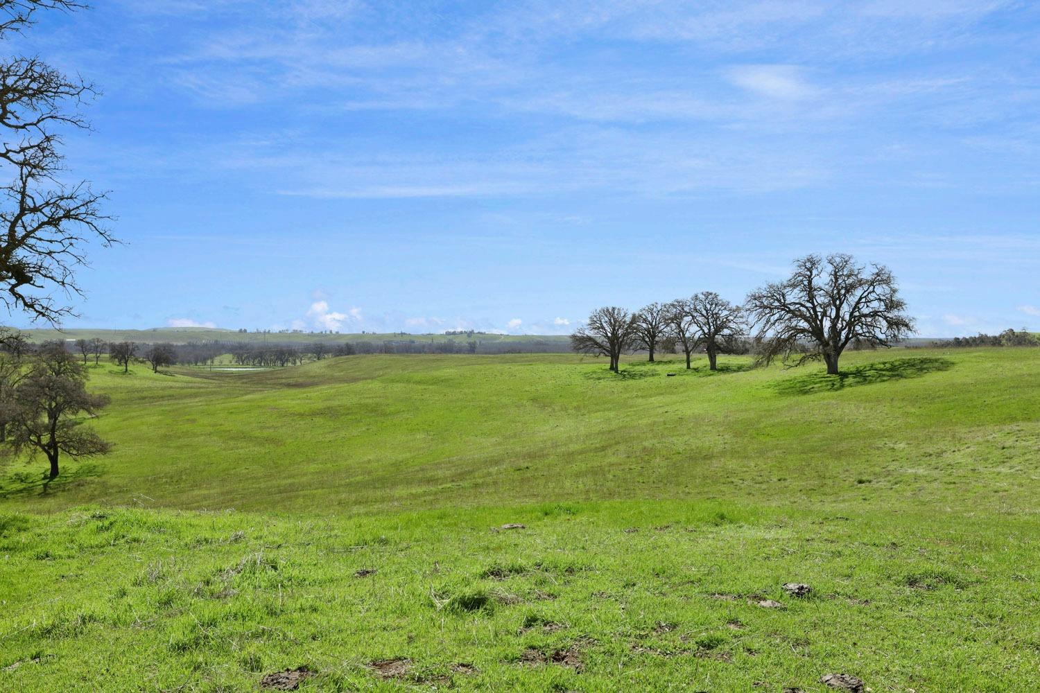 11750 North Wimer Road Linden, CA 95236 - Photo 19 of 69