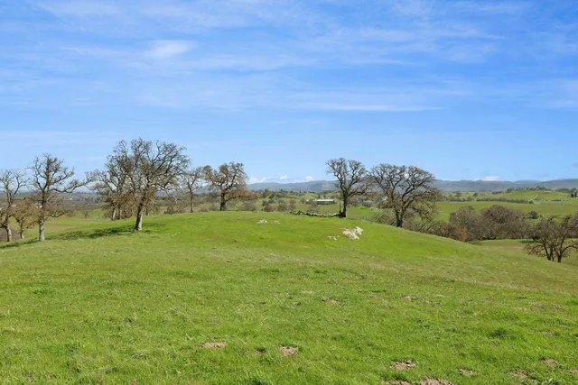 a view of a field with an ocean