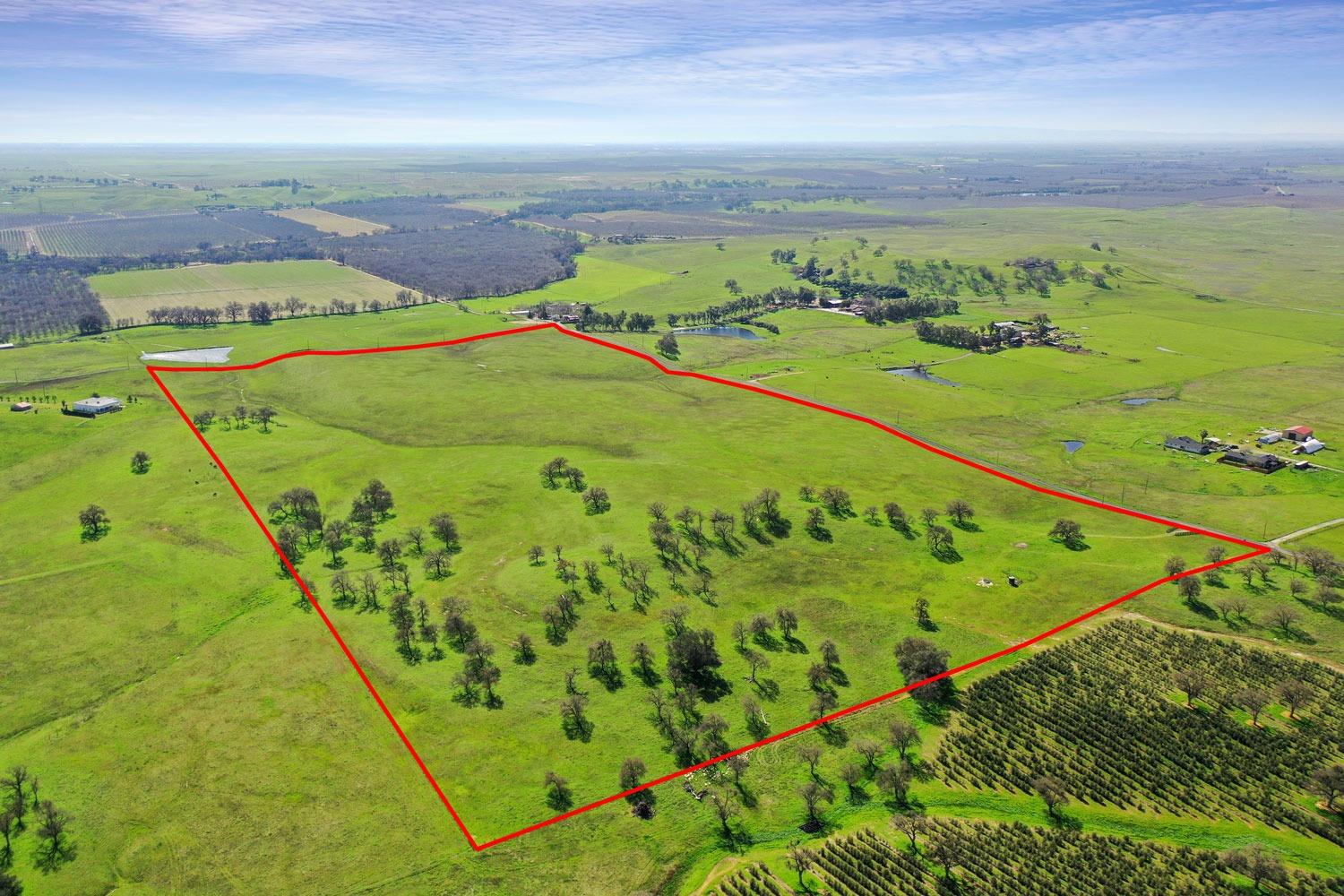 11750 North Wimer Road Linden, CA 95236 - Photo 2 of 69 a view of a swimming pool with a yard