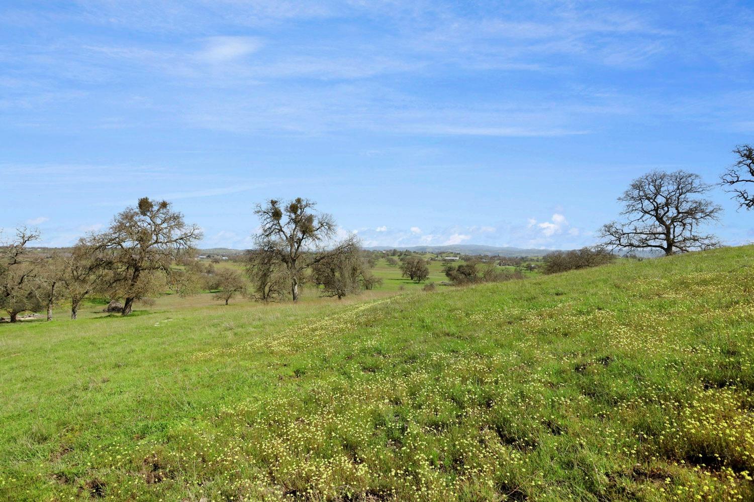 11750 North Wimer Road Linden, CA 95236 - Photo 26 of 69