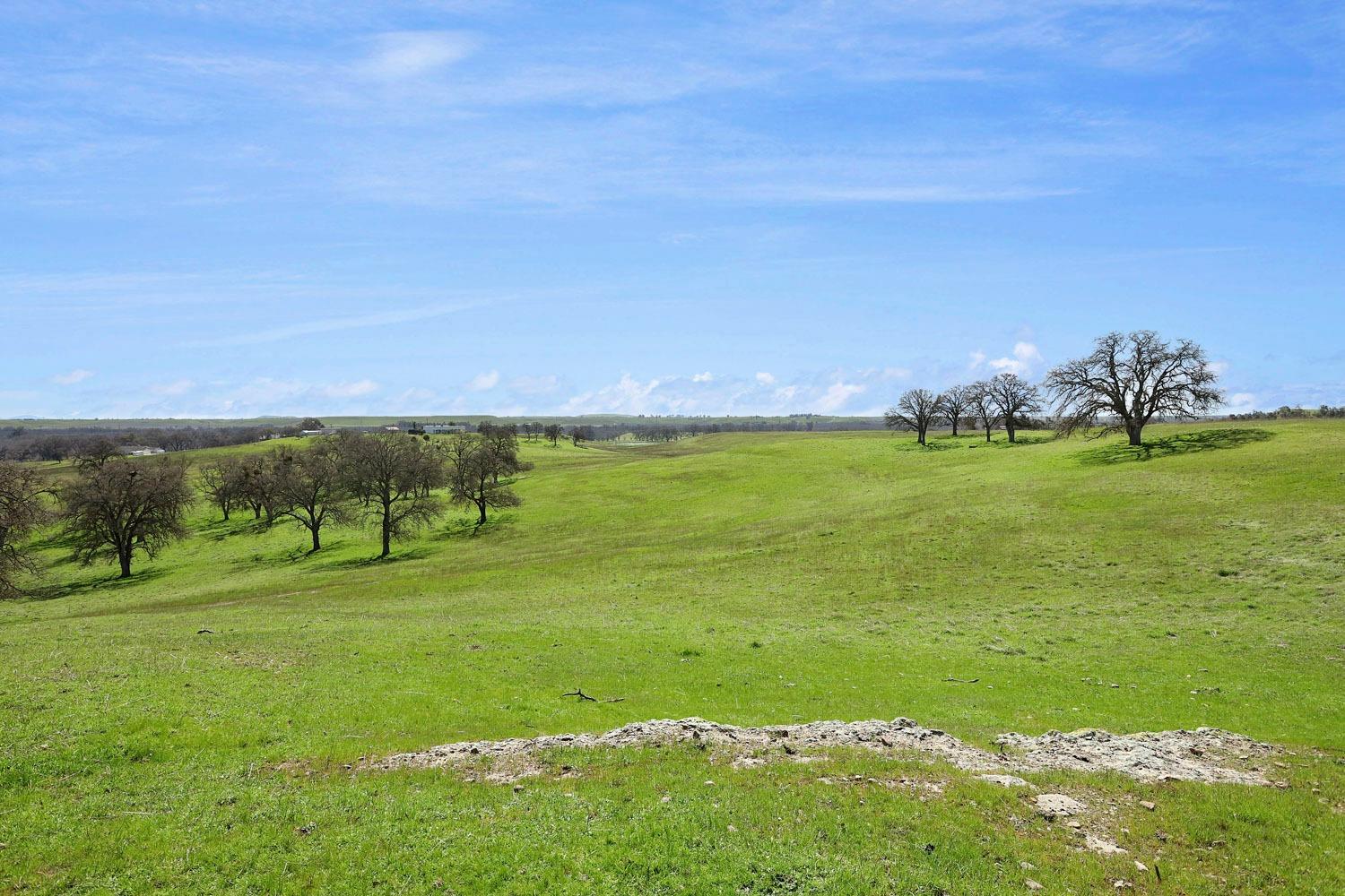 11750 North Wimer Road Linden, CA 95236 - Photo 28 of 69 a view of a field with an ocean
