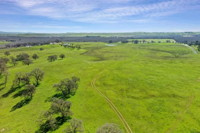 a view of a field with an ocean