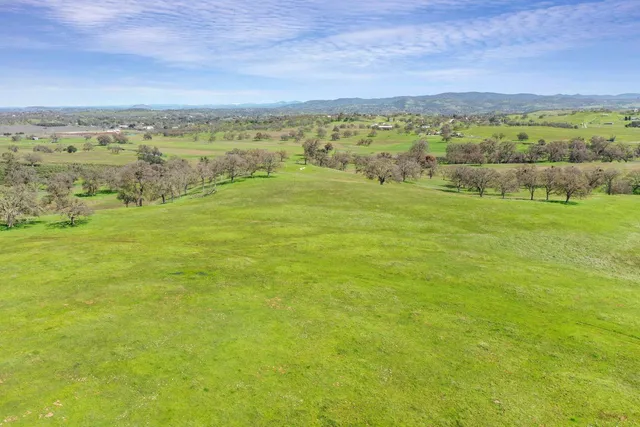 a view of a field with an ocean