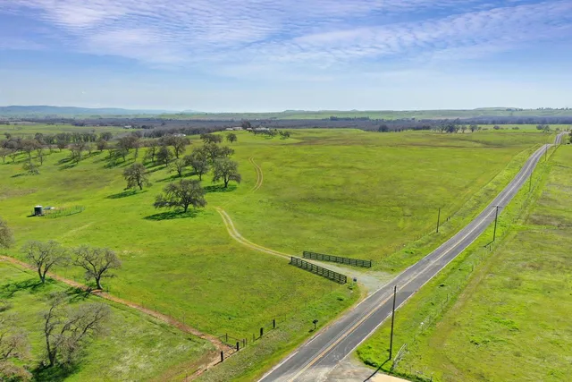 a view of a garden with an ocean