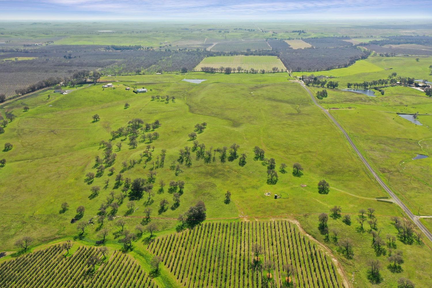 11750 North Wimer Road Linden, CA 95236 - Photo 46 of 69