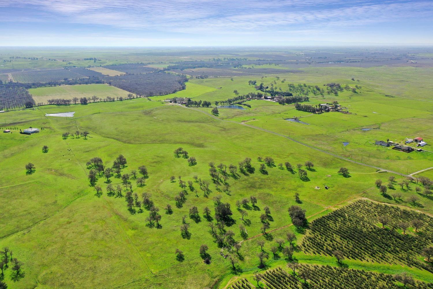 11750 North Wimer Road Linden, CA 95236 - Photo 47 of 69 a view of a garden with an ocean