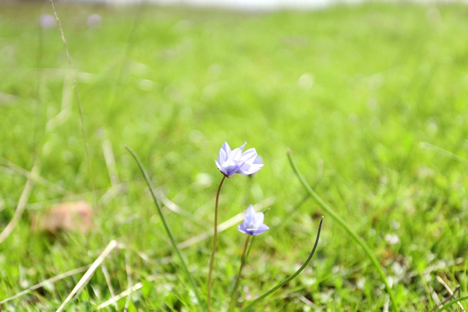 11750 North Wimer Road Linden, CA 95236 - Photo 6 of 69