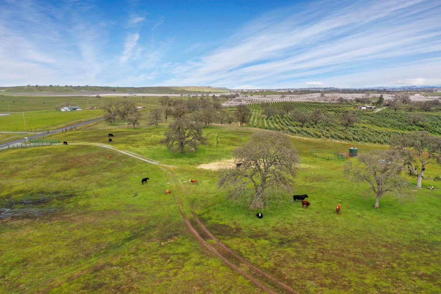 11750 North Wimer Road Linden, CA 95236 - Photo 61 of 69 a view of an ocean view