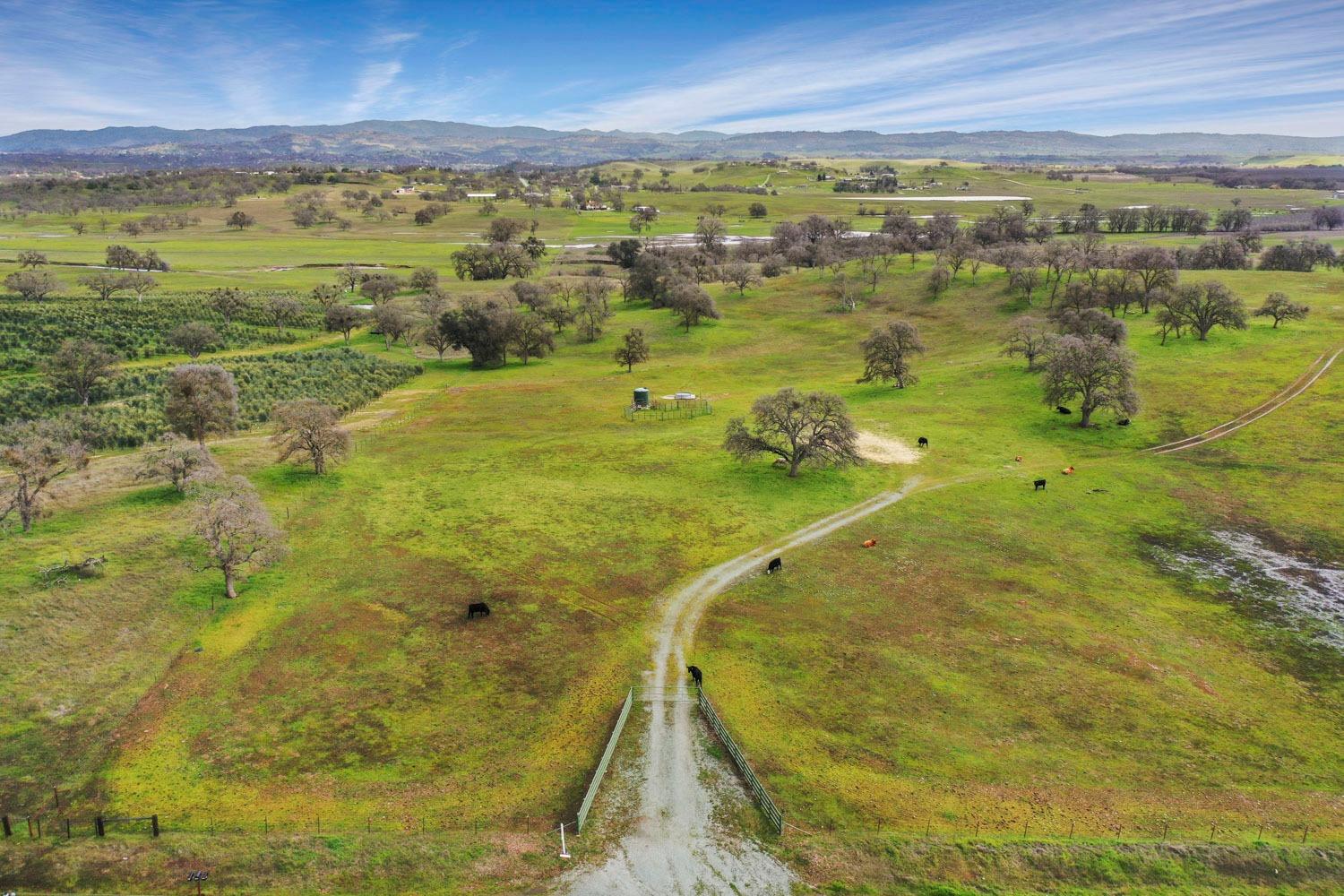 11750 North Wimer Road Linden, CA 95236 - Photo 63 of 69 a view of an outdoor space and mountain view