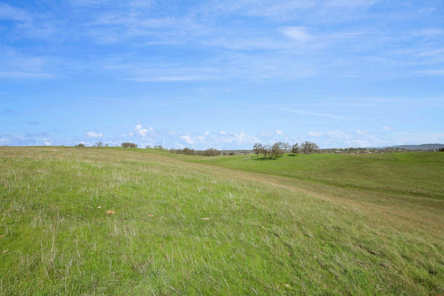 11750 North Wimer Road Linden, CA 95236 - Photo 7 of 69