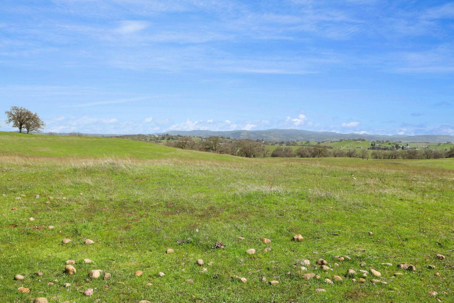 11750 North Wimer Road Linden, CA 95236 - Photo 8 of 69