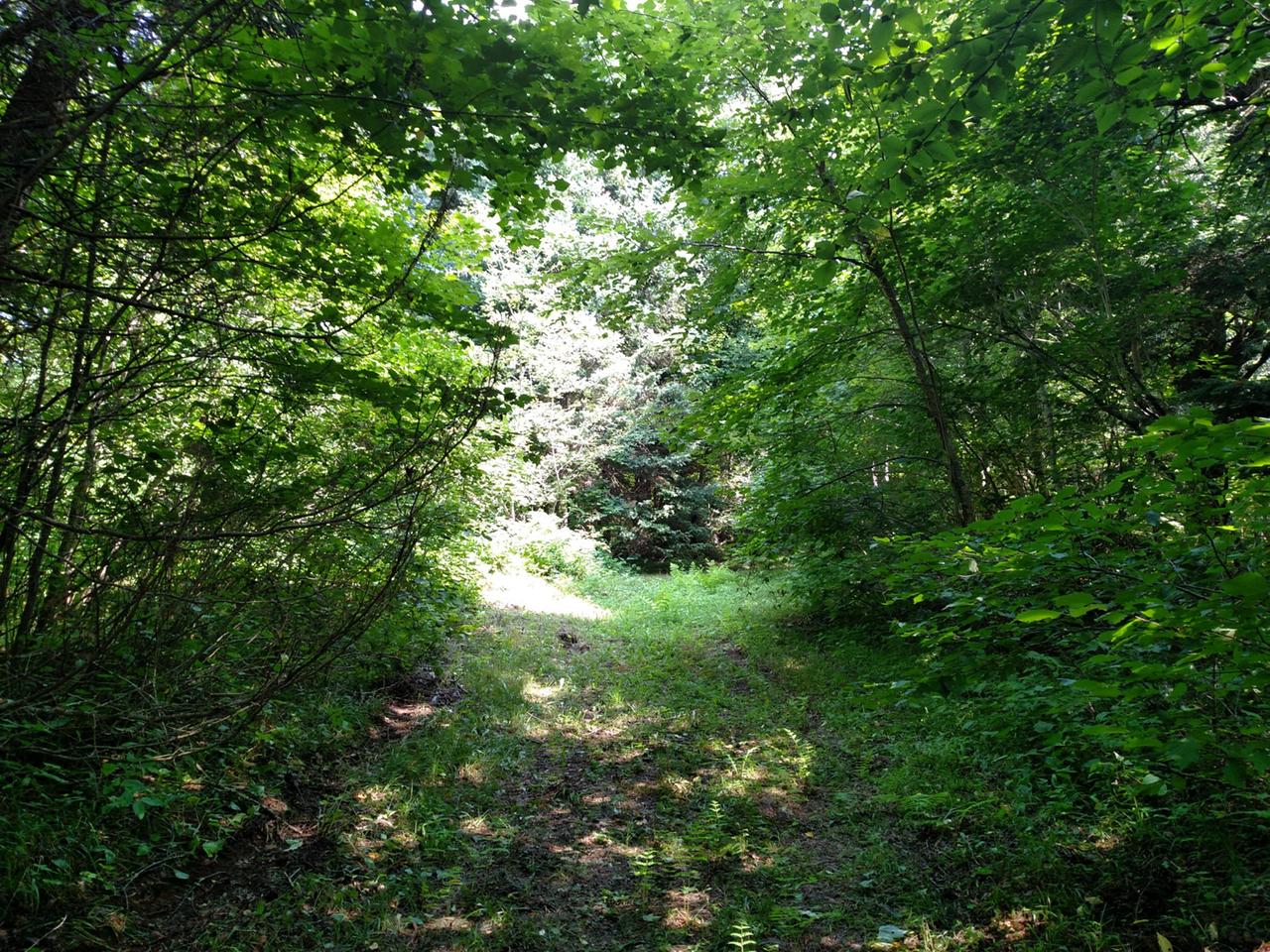 N15891 Eagle Road Butternut, WI 54514 - Photo 27 of 76 Gallery Image 27