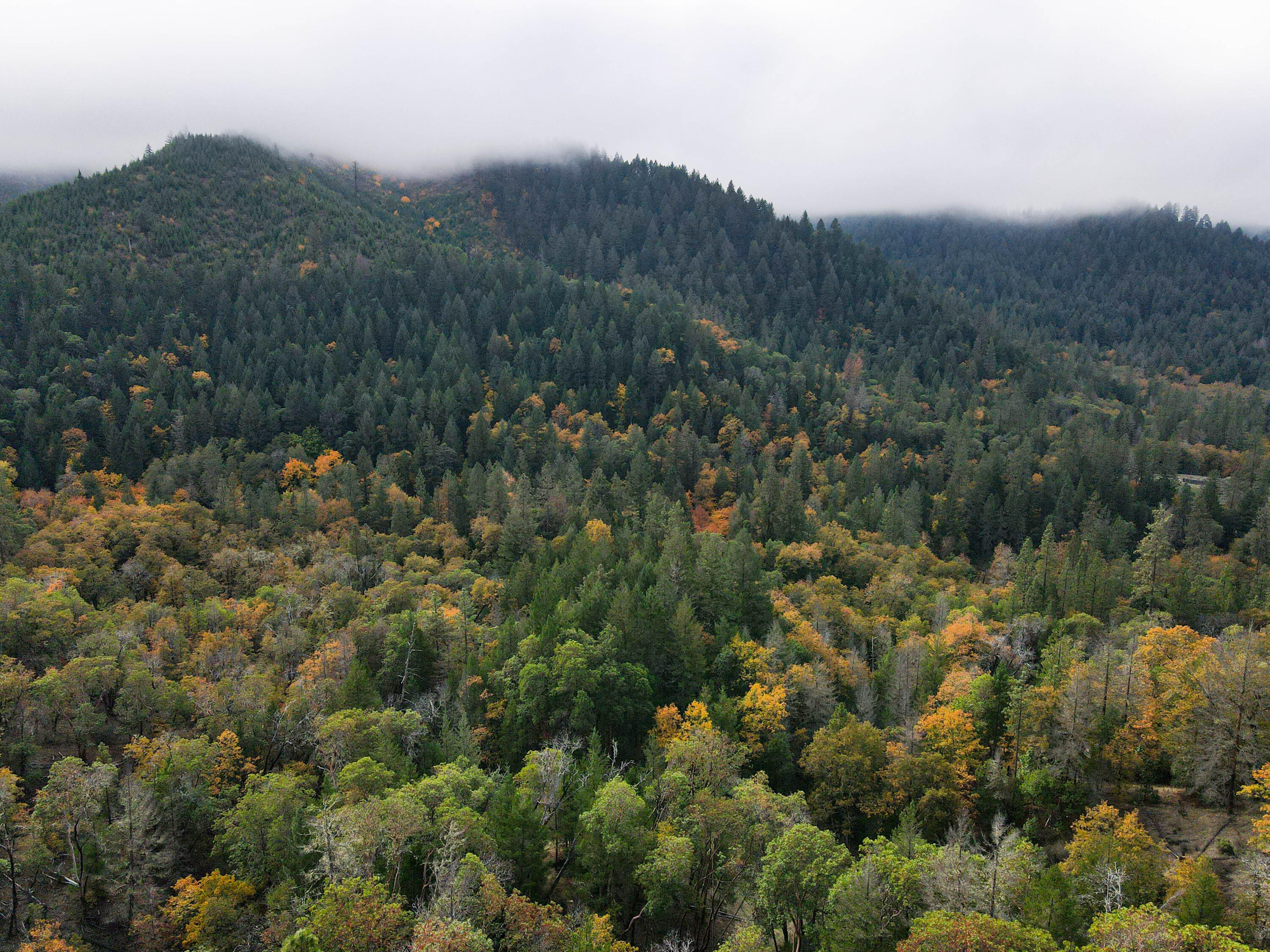427 Murphy Gulch Road Rogue River, OR 97537 - Photo 33 of 33 32