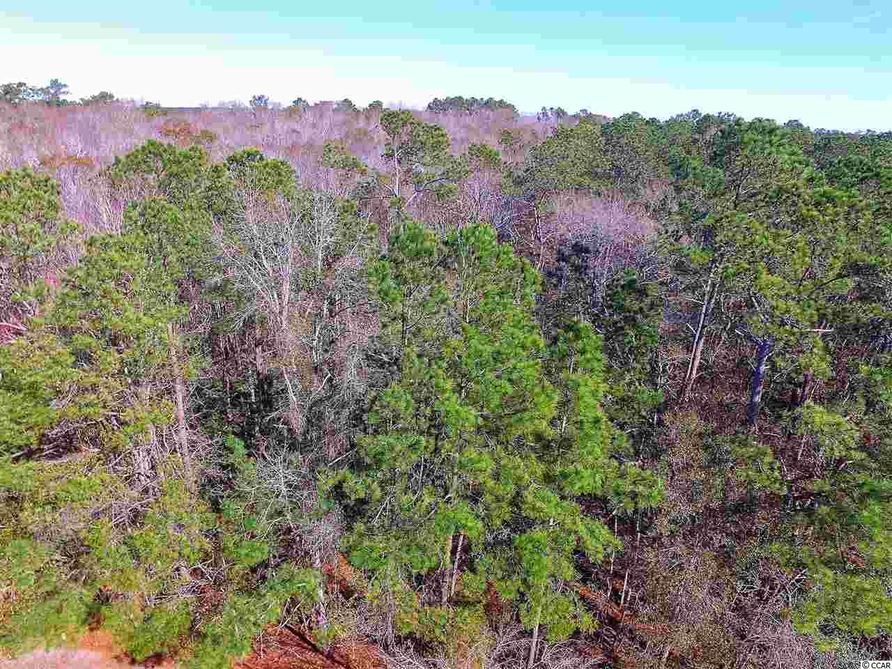 1.75-acres Waccamaw River Road Myrtle Beach, SC 29588 - Photo 12 of 18 Gallery Image 12