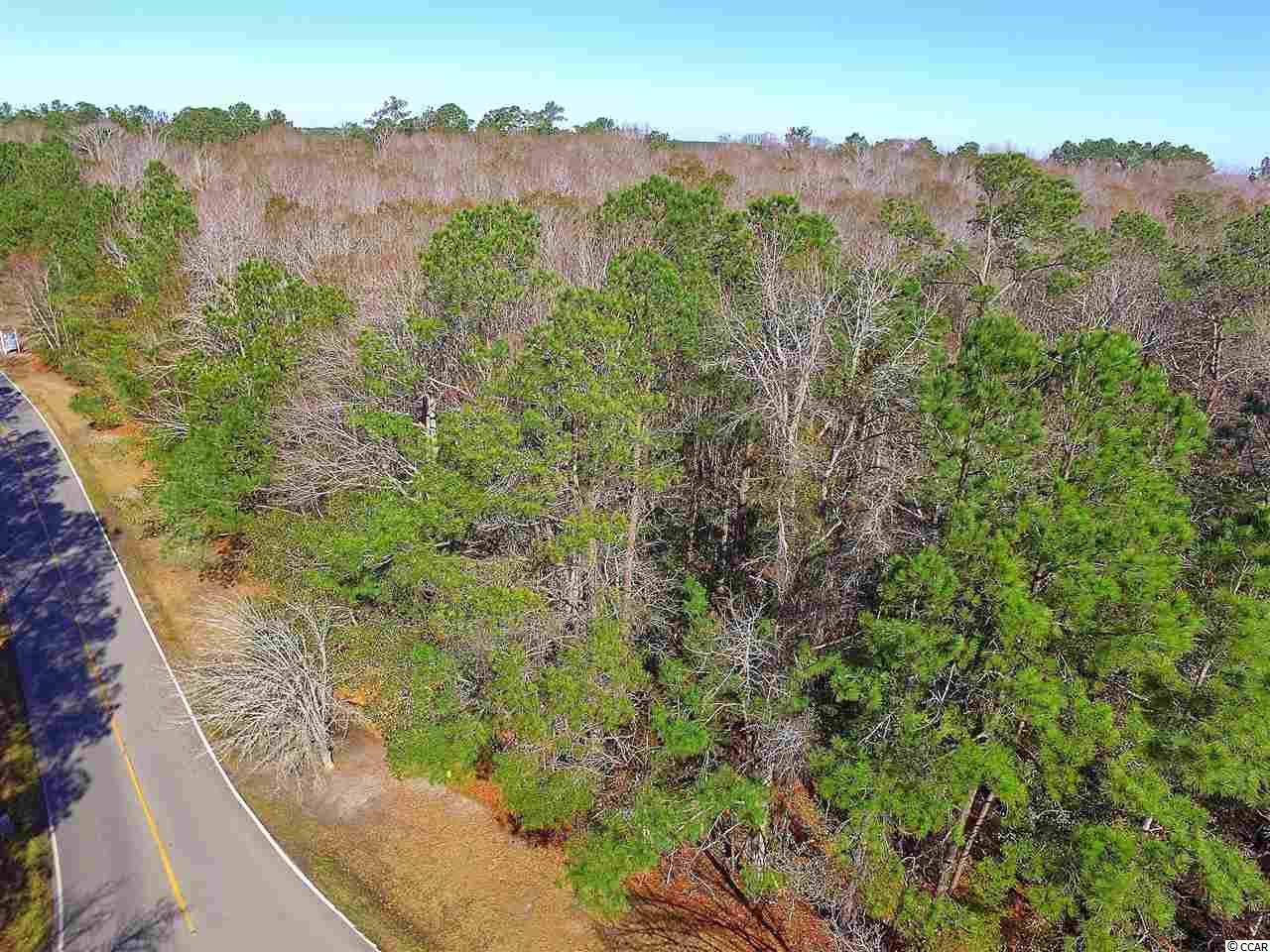 1.75-acres Waccamaw River Road Myrtle Beach, SC 29588 - Photo 13 of 18 Gallery Image 13