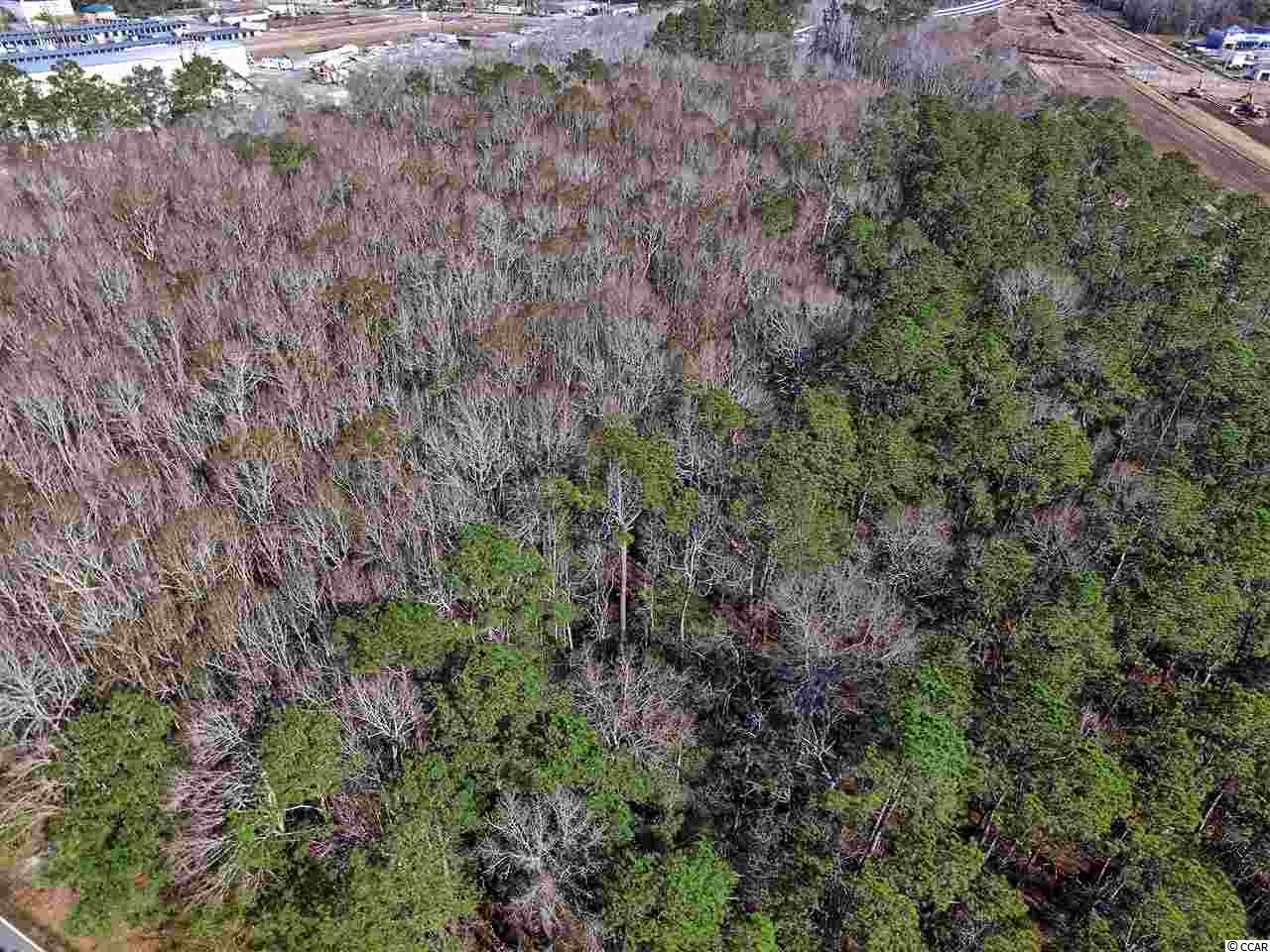 1.75-acres Waccamaw River Road Myrtle Beach, SC 29588 - Photo 16 of 18 Gallery Image 16