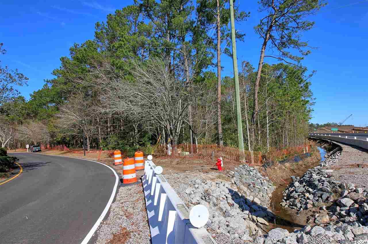 1.75-acres Waccamaw River Road Myrtle Beach, SC 29588 - Photo 3 of 18 Gallery Image 3