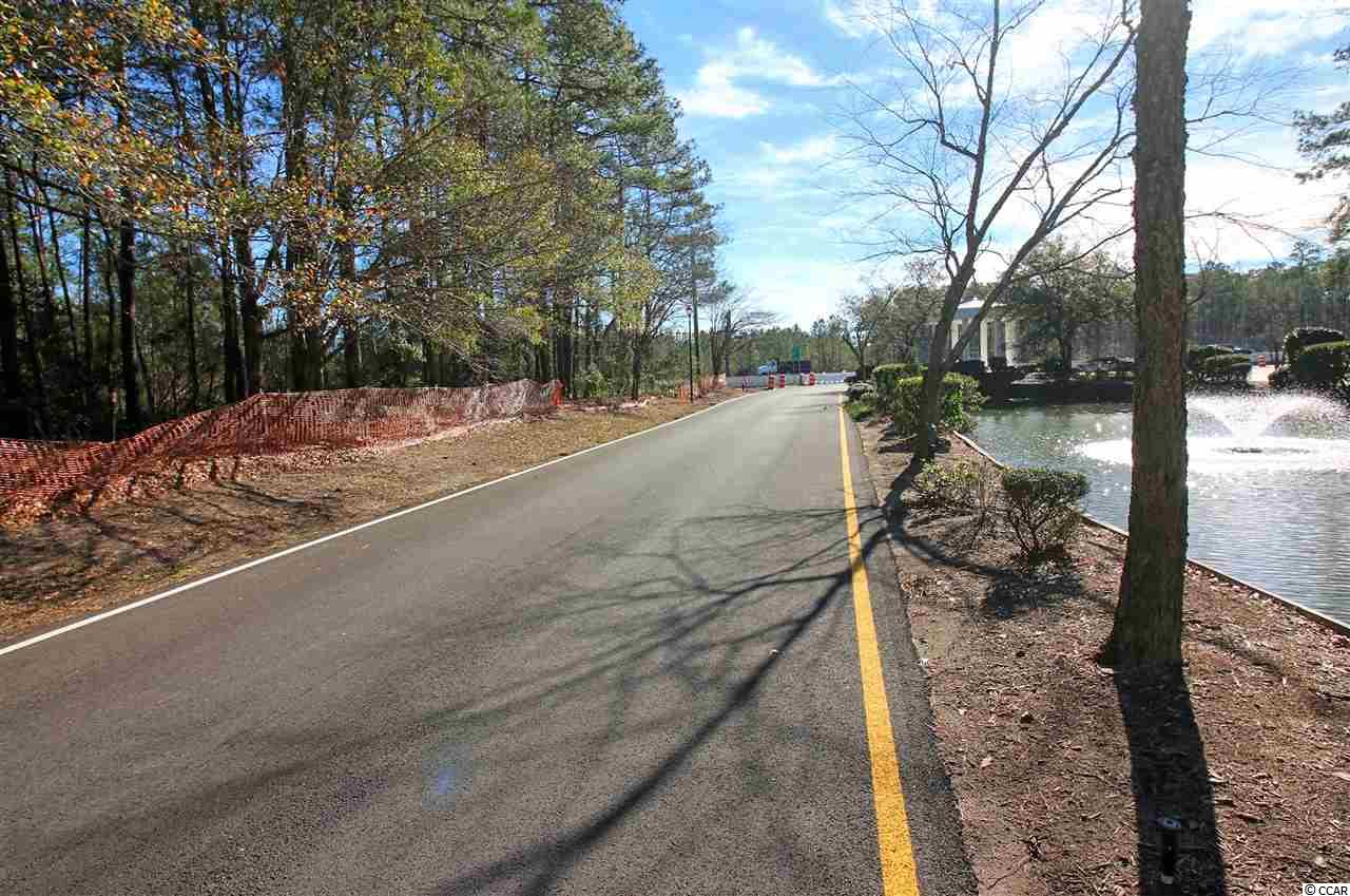 1.75-acres Waccamaw River Road Myrtle Beach, SC 29588 - Photo 6 of 18 Gallery Image 6