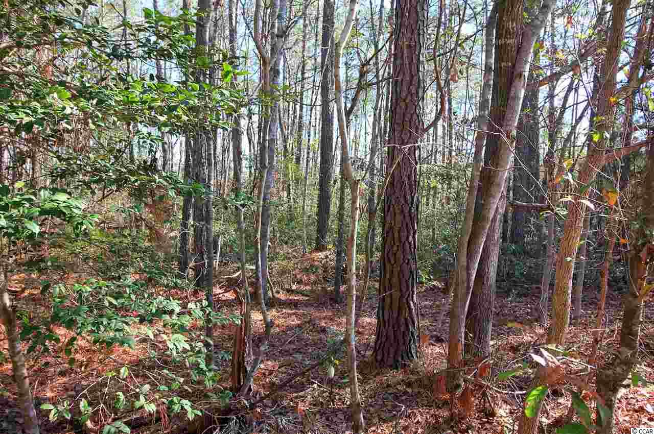 1.75-acres Waccamaw River Road Myrtle Beach, SC 29588 - Photo 7 of 18 Gallery Image 7