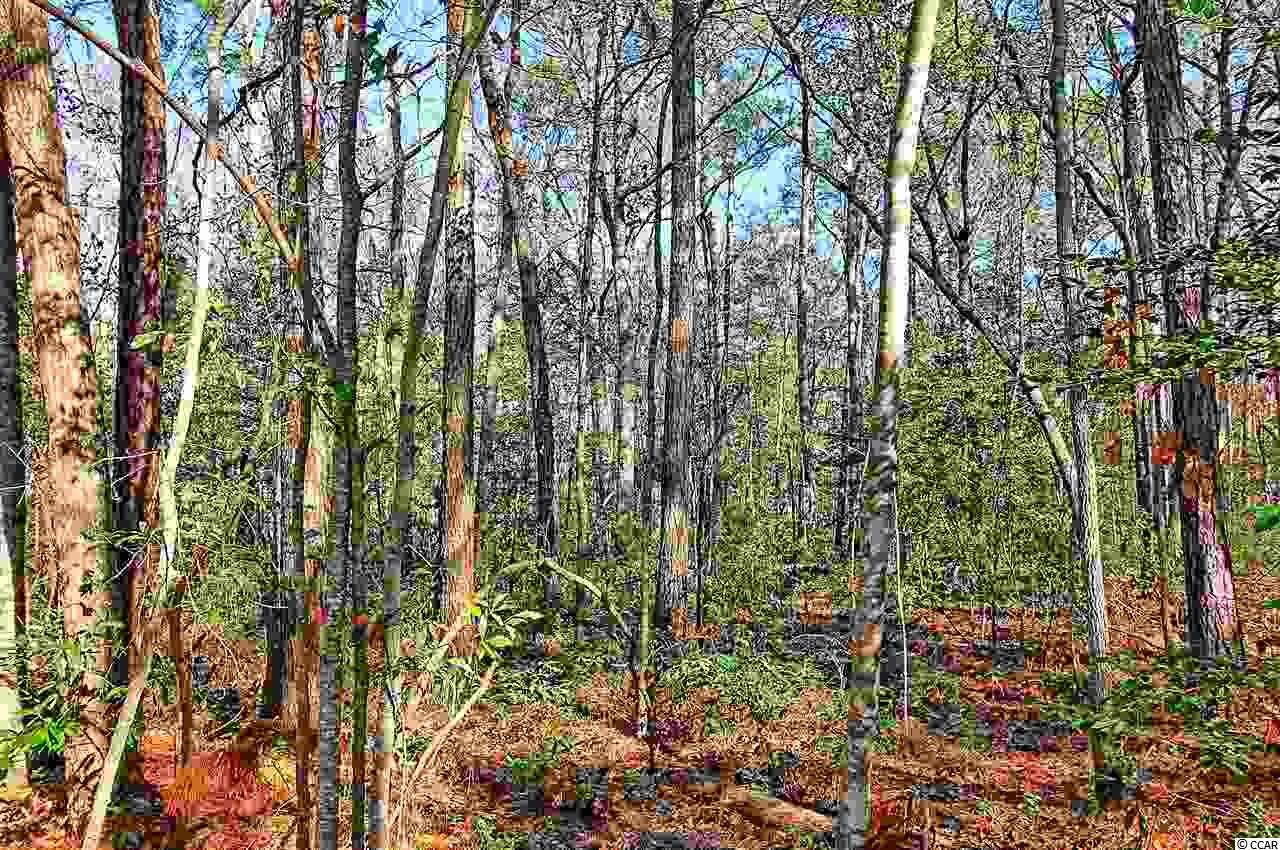 1.75-acres Waccamaw River Road Myrtle Beach, SC 29588 - Photo 8 of 18 Gallery Image 8