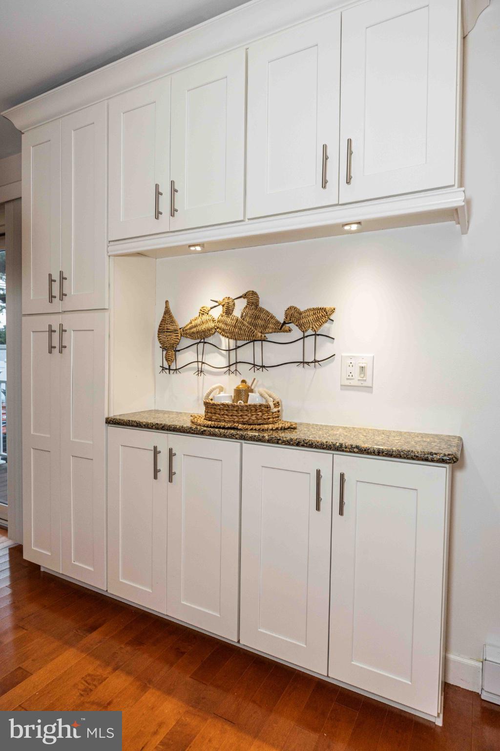 543 Golden Street Lititz, PA 17543 - Photo 25 of 33 Coffee bar-Quartz CT and extra cabinets
