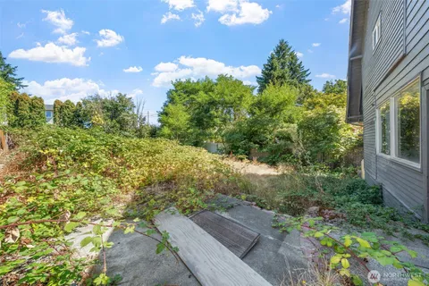 a view of yard with green space