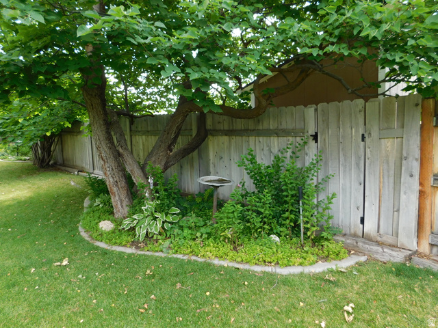 2148 Carolyn Way Bountiful, UT 84010 - Photo 30 of 40 Expansive grassy yard area featuring mature shade trees, a wooden privacy fence with a functional gate, and a landscaped garden bed with various plantings and a concrete border