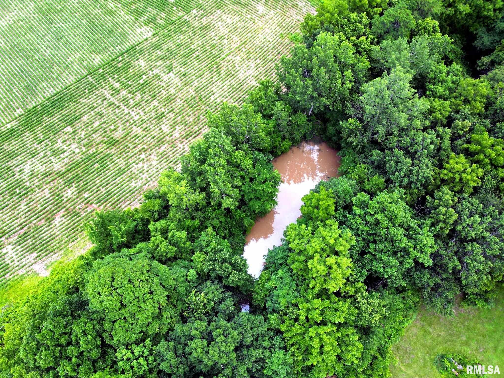 0 North Jackson Road Canton, IL 61520 - Photo 9 of 18