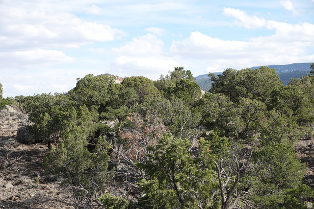 1115 East Donkey Flts Road Teasdale, UT 84773 - Photo 13 of 13