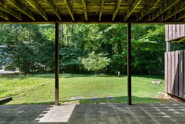 a view of a garden with a tree