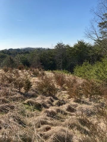 0 Fox Ridge Way Sevierville, TN 37876 - Photo 2 of 5